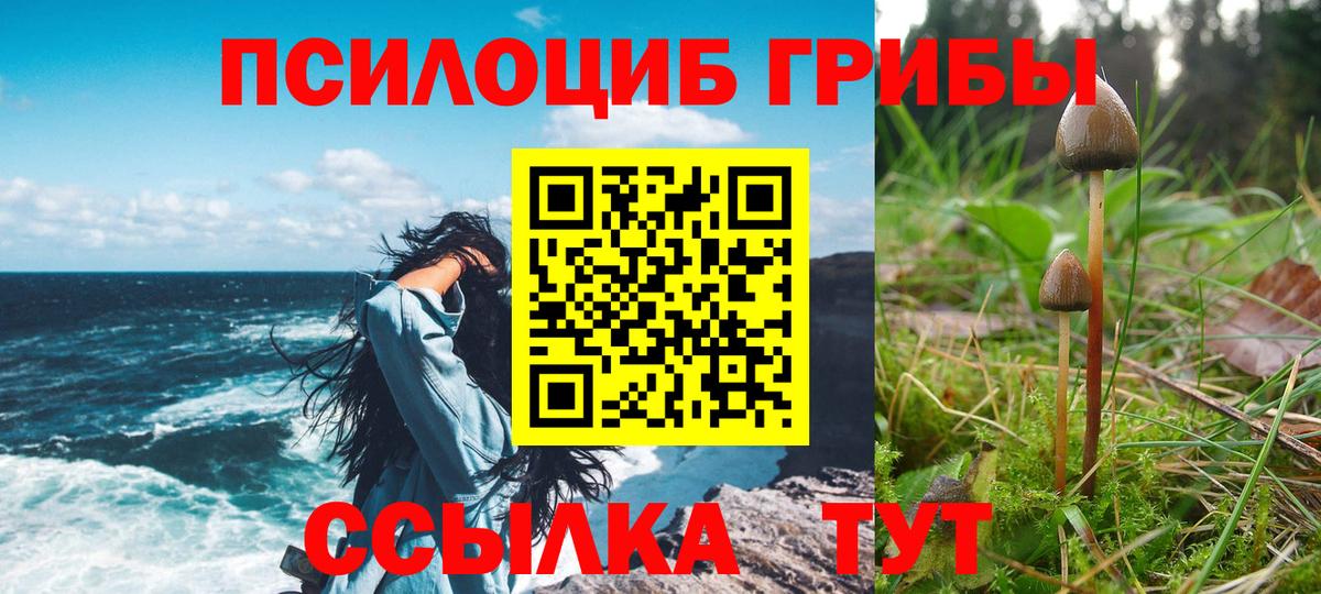 Псилоцибиновые грибы Psilocybine cubensis  Галлюциногенные грибы ЛСД  Пенза  Вход с VPN 
